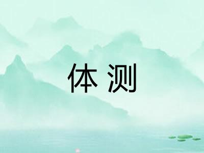 体测