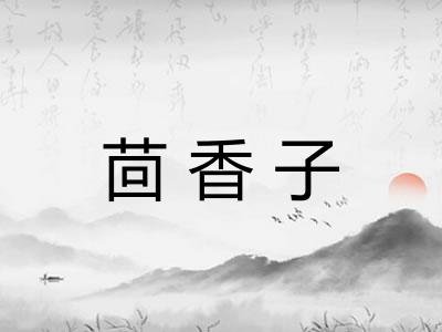 茴香子 茴香子