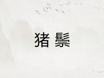 猪鬃
