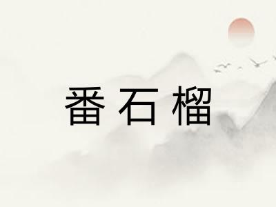 番石榴 番石榴
