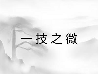一技之微 一技之微