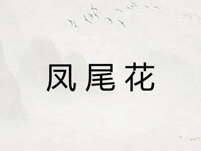 凤尾花