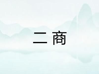二商 二商