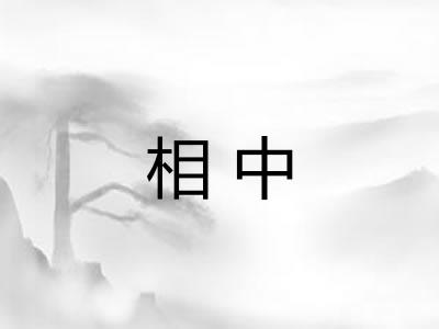 相中 相中