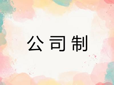 公司制
