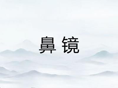 鼻镜
