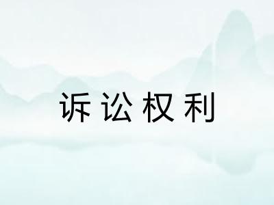 诉讼权利