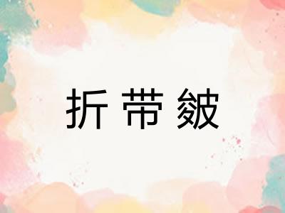 折带皴 折带皴