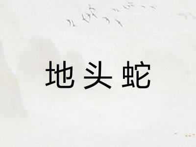 地头蛇