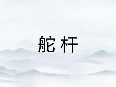 舵杆