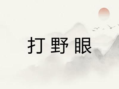 打野眼