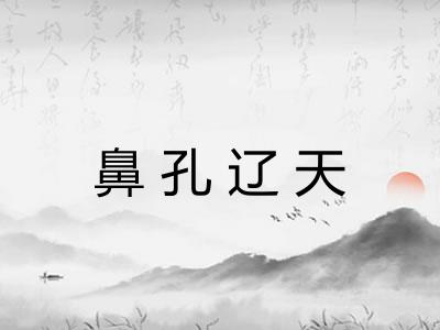 鼻孔辽天