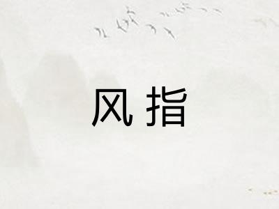 风指
