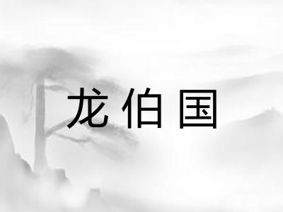 龙伯国
