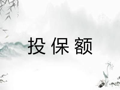 投保额