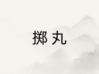 掷丸
