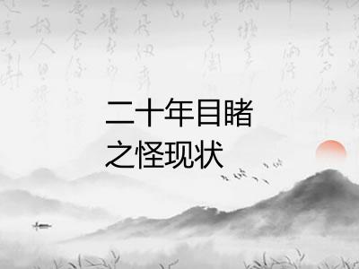 二十年目睹之怪现状 二十年目睹之怪现状