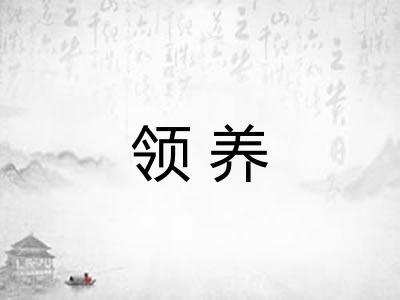 领养