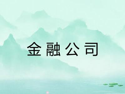 金融公司