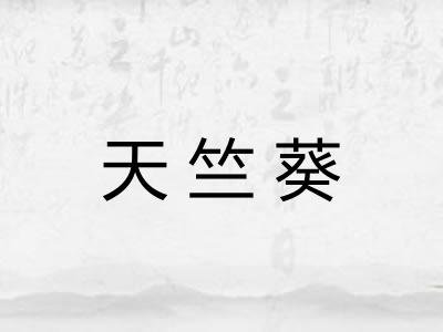 天竺葵