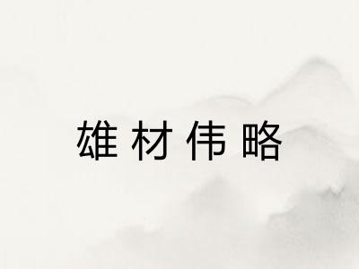 雄材伟略