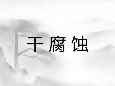 干腐蚀