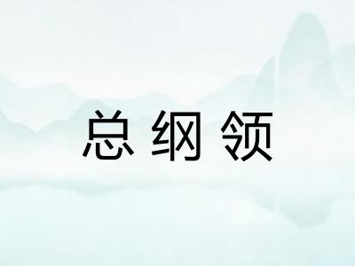 总纲领