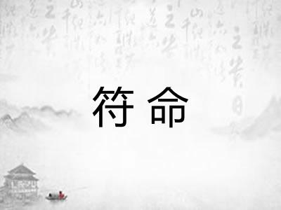 符命