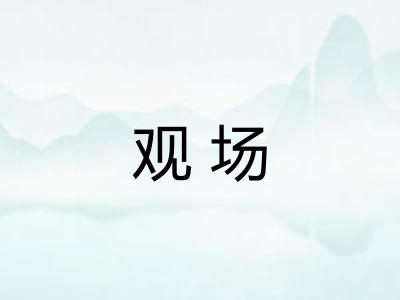观场