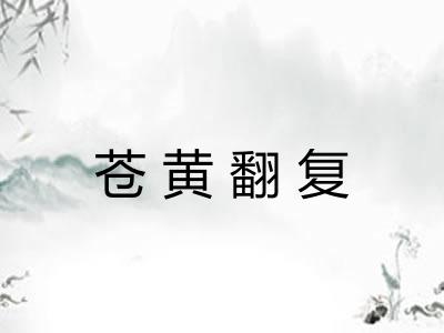 苍黄翻复 苍黄翻复