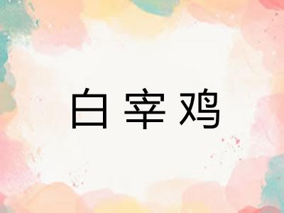 白宰鸡 白宰鸡