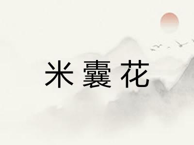 米囊花 米囊花