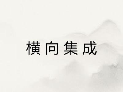 横向集成