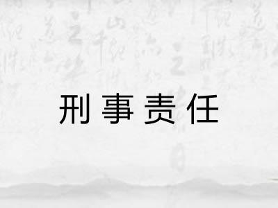 刑事责任 刑事责任