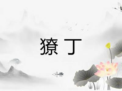 獠丁
