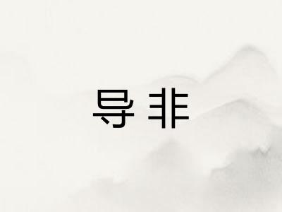 导非 导非