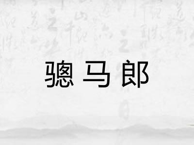骢马郎