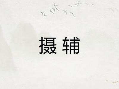 摄辅