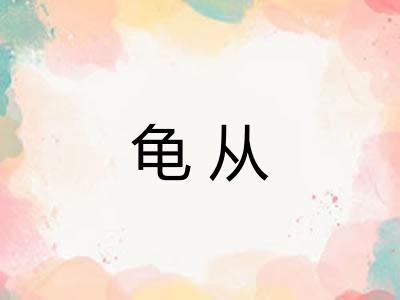 龟从