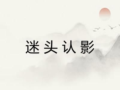 迷头认影
