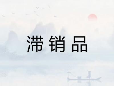 滞销品