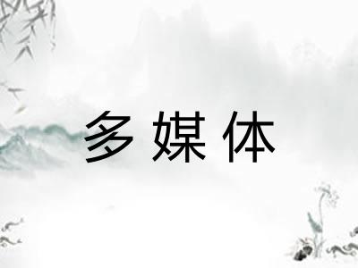 多媒体