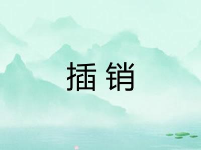 插销