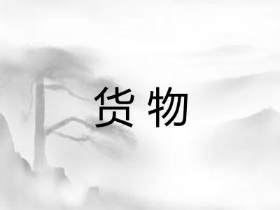 货物 货物