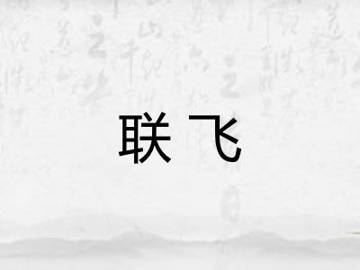 联飞 联飞