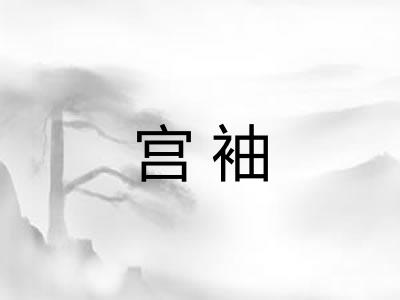 宫袖