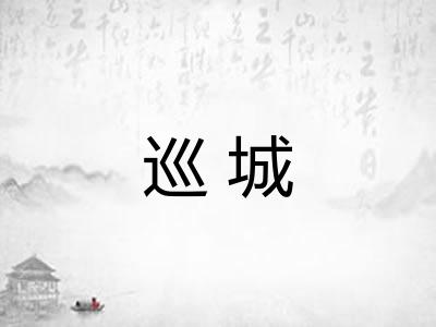 巡城