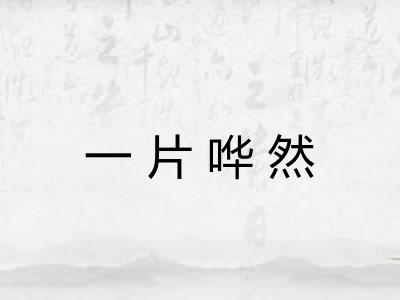 一片哗然 一片哗然