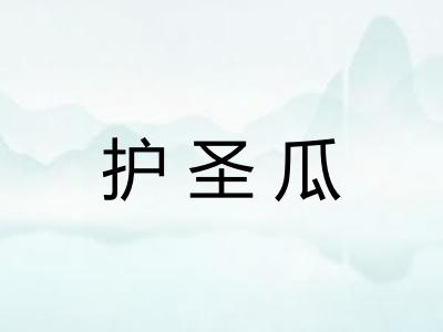 护圣瓜 护圣瓜