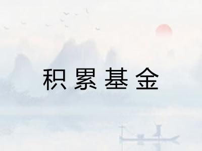 积累基金 积累基金